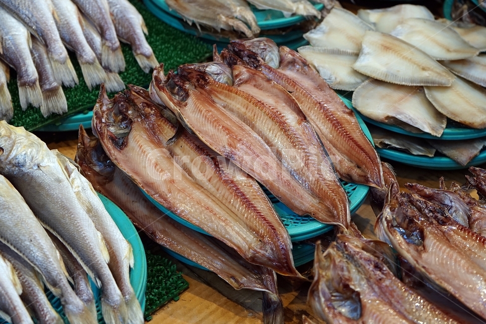 생선,요리,재료,반건조,바다,비린내,해산물,먹거리,fish,food,seafood,물고기,시장,음식,해물,수산물,생물,씨푸드,수산시장,해산물시장,한국장보기,쇼핑마켓,낚시,어업,식재료,신선한,신선,신선함,소금,건강,건강한,날것,자연,더미,무더기,죽은,맛있는,mackerel,market,fishing,fresh,바다생물,시장,마트,마켓,market,mart,market place,음식,식재료,요리,food,cook,meal,dishes,food reserves,수산물,해산물,fishery products,seafood