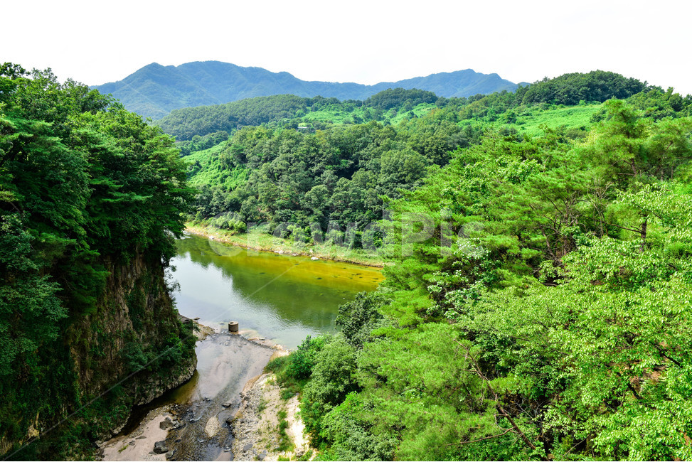 한탄강,풍경,강,계곡,포천,나무,산,강물,푸르름,여름,자연,outdoors,초목,식물,tree,옥외