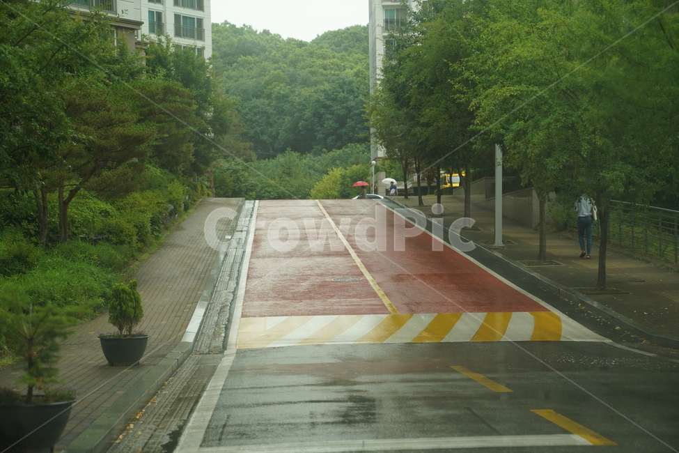 비오는날,비,날씨,장마,소나기,비,비오는날,rain,rainy