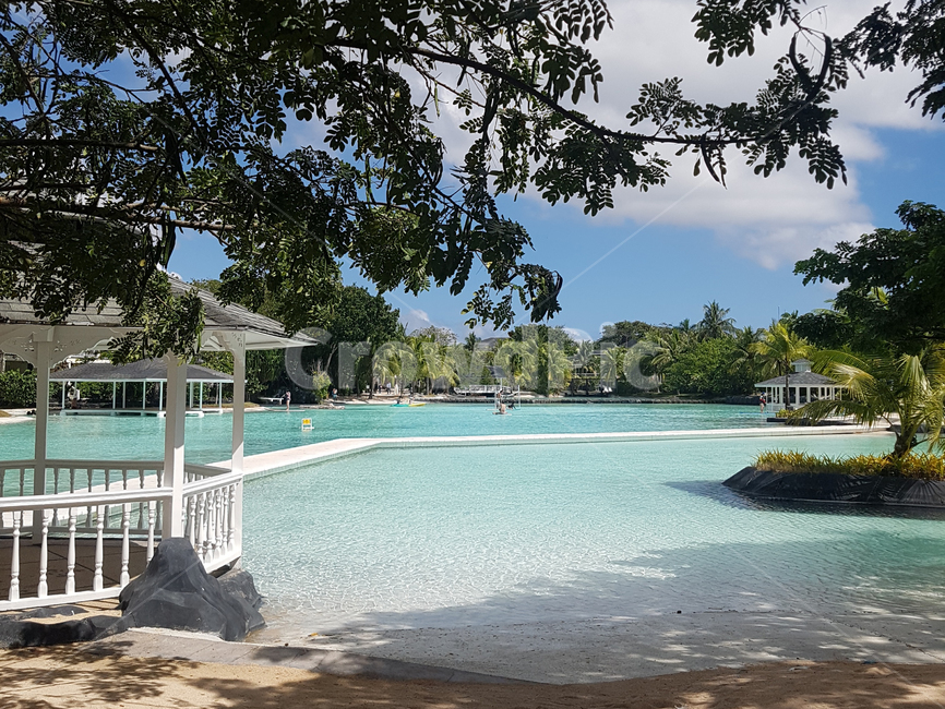 sky,emerald color,nature,clear sky,summer,oversea,palm tree,palmtree,Beach,see,ocean,beach,sight,vacation,Cebu Sea,cebu,vacation spot,white sand beach