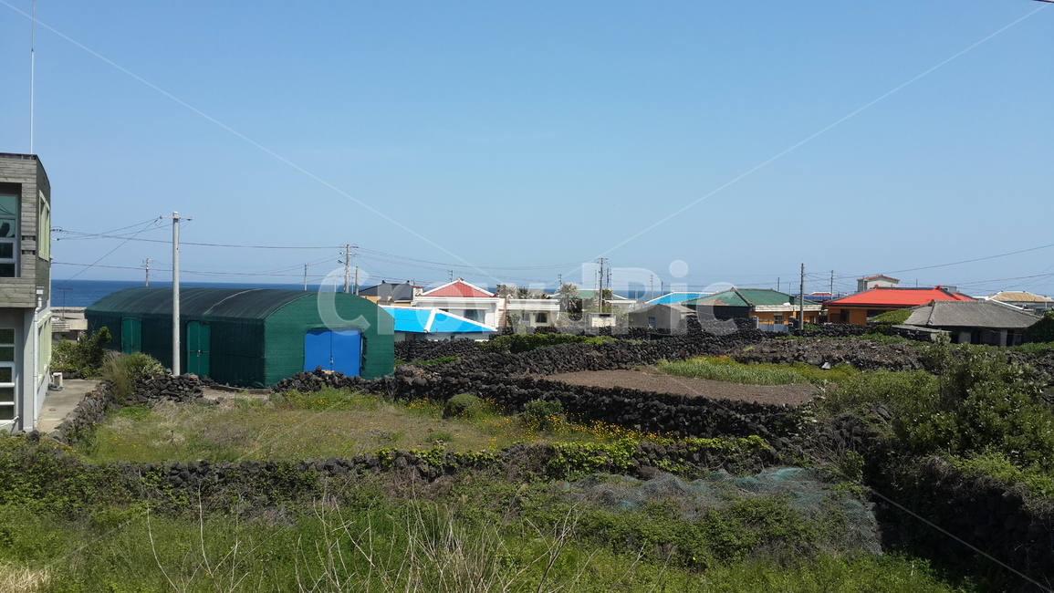 돌담,제주도,시골,논밭,마을,시골,마을,풍경,landscape,country,rural,town