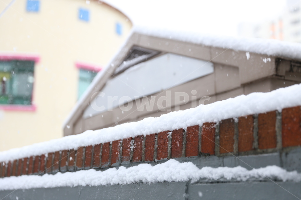 눈,감성사진,접사,수평,겨울,겨울,계절,winter,season
