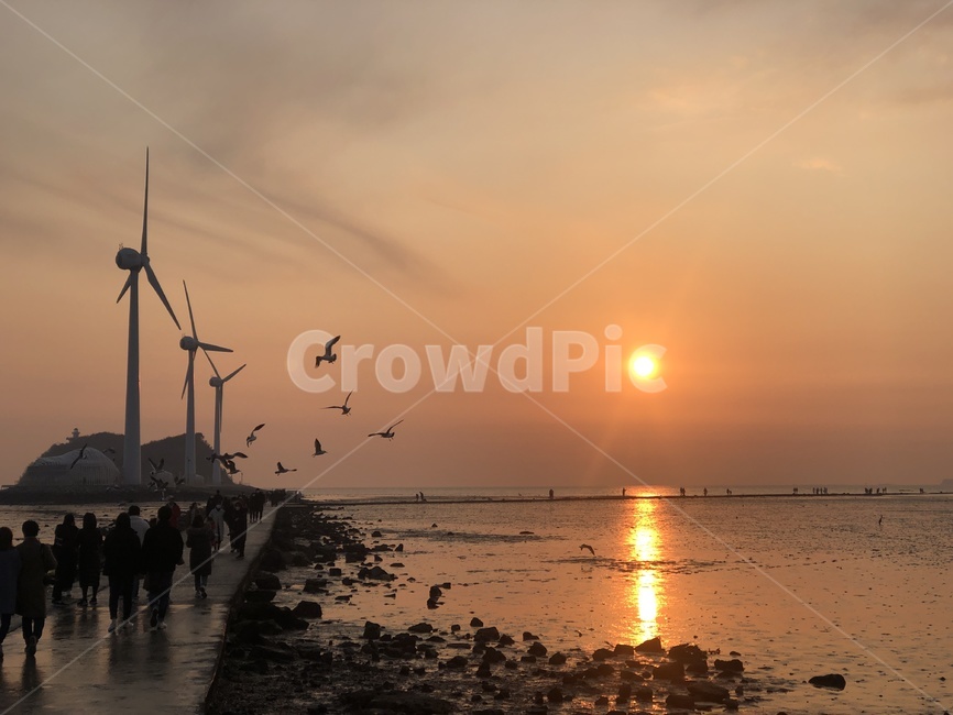 탄도항,노을,일몰,sunset,서해,붉은노을