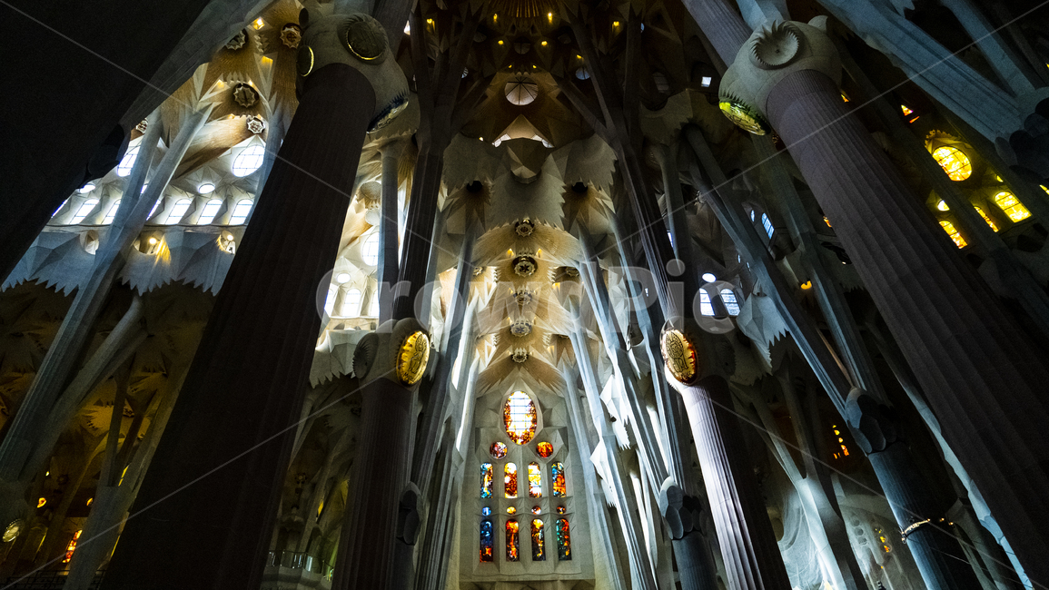 사그라다파밀리아,사그라다,spain,스페인,성당,sagradafamilia,temple,랜드마크,landmark,tourist attraction,해외,외국,세계,foreign,oversea,world,세계랜드마크,해외랜드마크,외국랜드마크,world landmark,world tourist attraction,architecture,건축물,building,건물