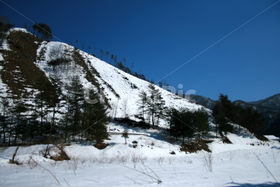 겨울,눈,하늘,나무,풍경,산,겨울,계절,winter,season,자연,풍경,nature,landscape,tree,plant,식물,outdoors,옥외,fir,전나무