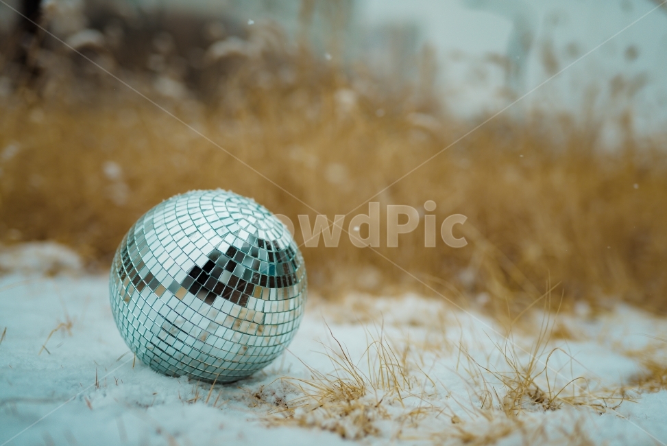 미러볼,겨울,눈,풍경사진,감성사진,니콘,겨울,계절,winter,season,감성,sensible,feeling,사물,물건,오브젝트,thing,object,matter