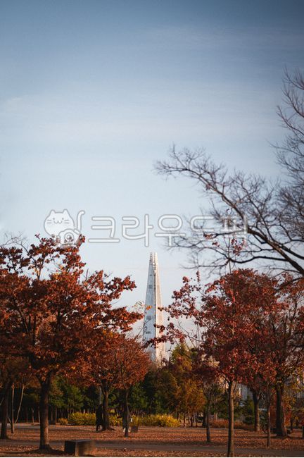 Autumn,maple leaves,building,background,tower,wallpaper