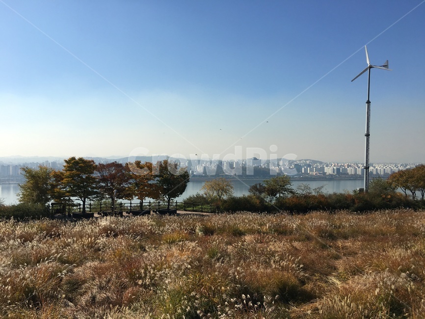 자연,풍경,나무,여유,휴식,힐링,tree,nature,landscape,healing,seoul,서울
