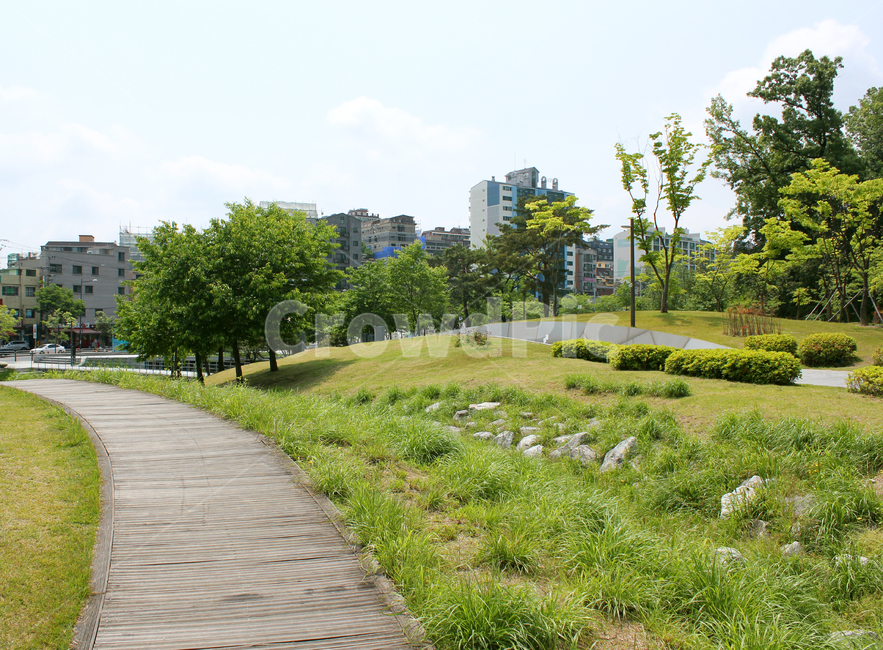 북서울꿈의숲,공원,한국,서울,정원,그린,녹색,초록색,나무,잔디,풀,낮,건물,낮하늘,하늘,스카이,조경,산책로,산책길,나무데크,데크,나무바닥,생태공원,생태정원,도시,풍경,city,landscape,한국도시풍경,한국도시경관,korea cityscape,grass,plant,식물,path,통로,outdoors,옥외