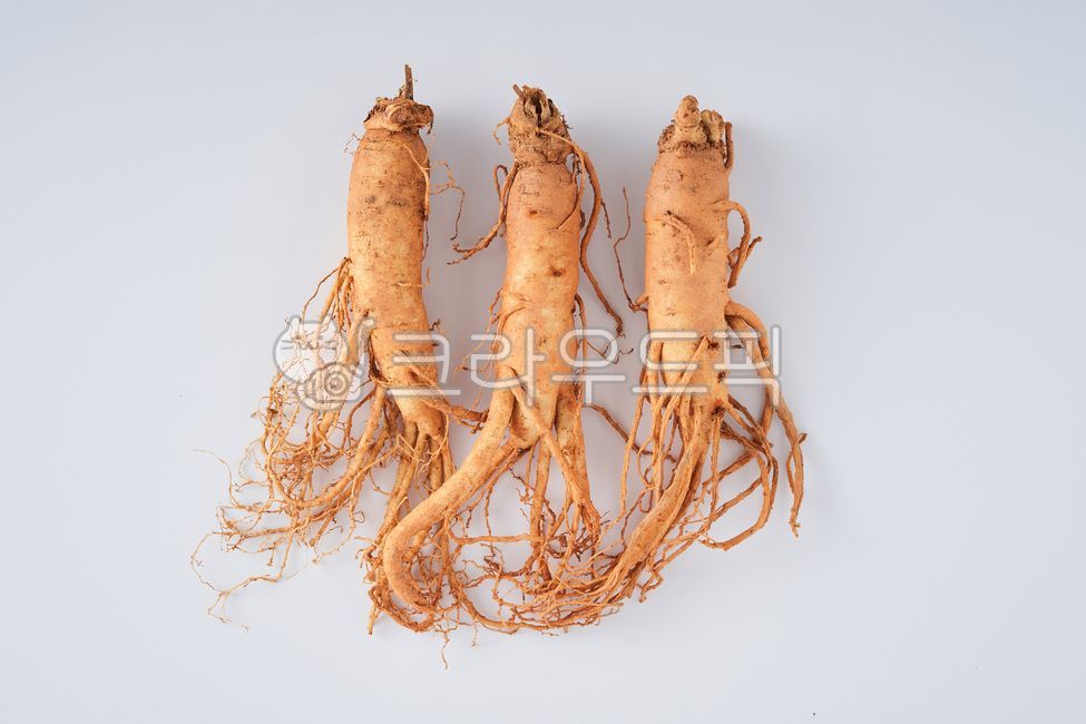 인삼,수삼,금산인삼,인삼5년근,인삼6년근,뿌리,한뿌리,음식,식재료,요리,food,cook,meal,dishes,food reserves