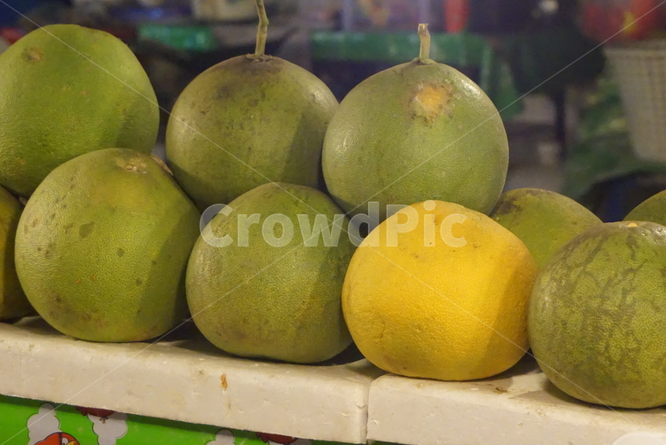 food,식품,식물,fruit,과일