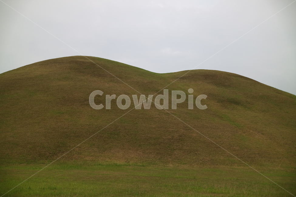 경주,대릉원,경주대릉원,경주세계문화유산,outdoors,옥외,grassland,목초지,field,들,nature,자연