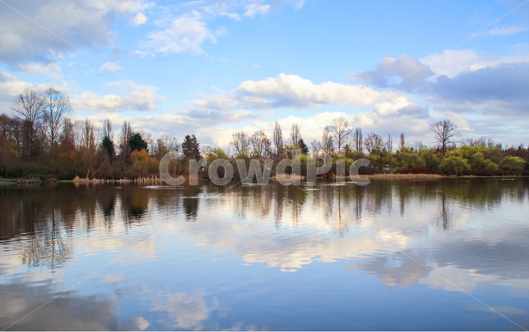 sky,blue sky,windless,mirror,reflection,nature,lake park,early spring,Decalcomani,Clean,peaceful,cloud,spring,outdoor,beautiful,background,sight,spring day,lake,park