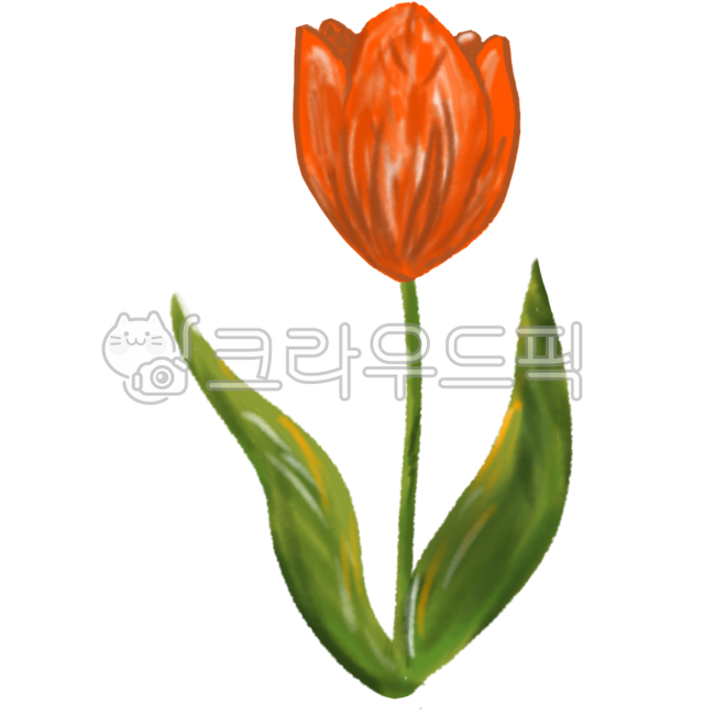 튤립,빨간튤립,꽃,빨간꽃,꽃장식