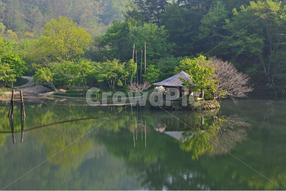 전남,순천,일일레져타운,물안개,water,물,outdoors,옥외,nature,자연