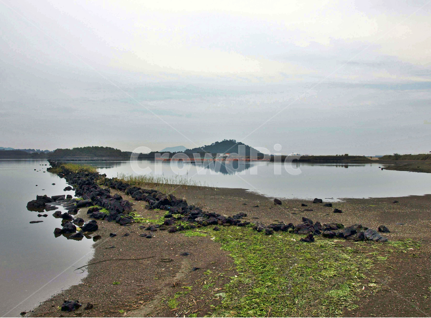 내수면,늪지대,올레2코스,제주,서귀포시,보,둑,자연,풍경,nature,landscape,한국자연풍경,한국자연경관,korea nature landscape,제주도,jeju,jeju island,outdoors,옥외,land,땅,water,물,shoreline,해안선,ocean,대양,sea,바다,coast,연안