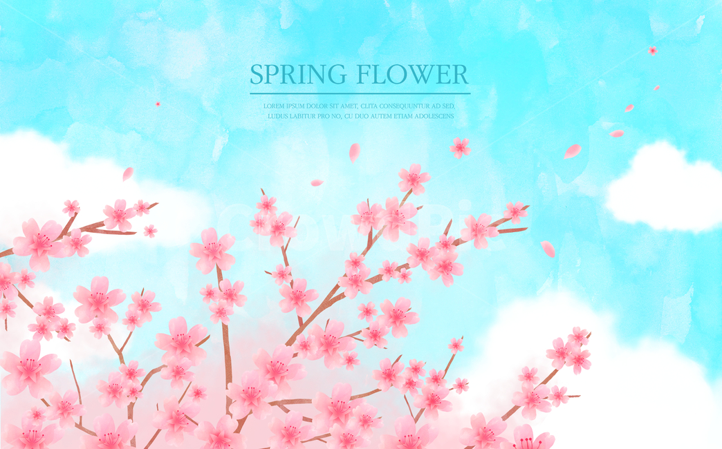 sky,cloud,spring,Cherry Blossom,banner,Emotion,flower