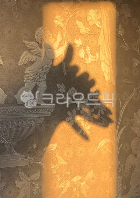 shadow,wallpaper,wolf,interior,A wolf,hand shadow,sunset,handshadow,silhouette,Emotion,nightfall,wall,dog,sensible,hand