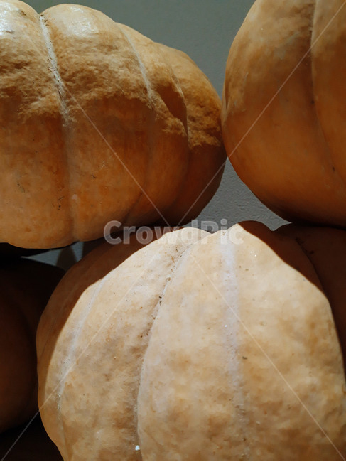 호박,늙은호박,수확,식재료,채소,음식,식품,야채,pumpkin,food,cook,meal,음식,식재료,요리,food,cook,meal,dishes,food reserves,채소,야채,vegetables