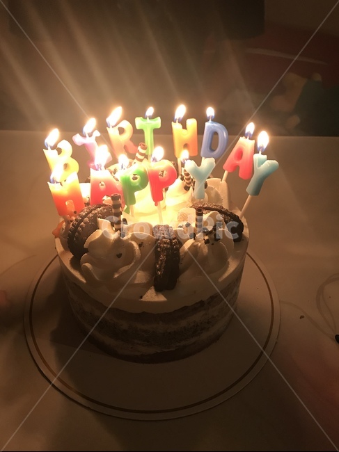 케이크,생일,파티,선물,음식