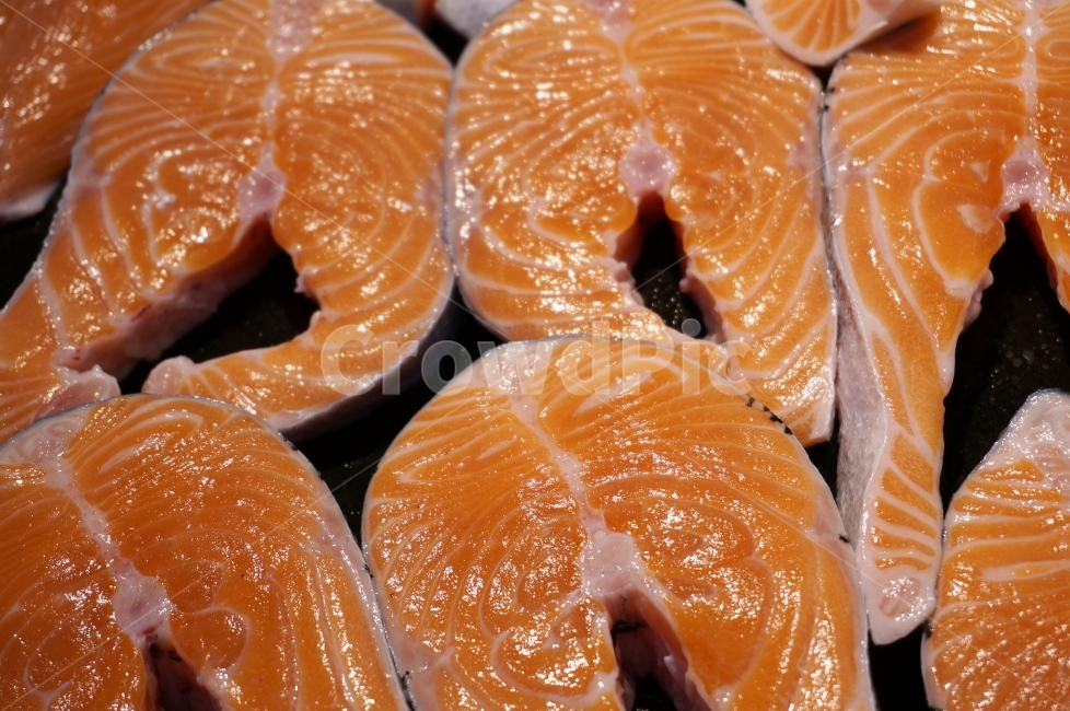연어,생선,음식,식품,물고기,고기,회,음식,식재료,요리,food,cook,meal,dishes,food reserves,수산물,해산물,fishery products,seafood