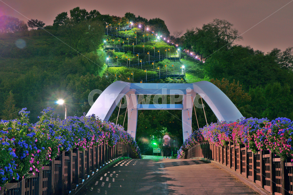 하늘공원,계단,상암동,난지도,다리,교량,야경,밤,풍경,nightscape,night,landscape,건축물,건물외관,exterior,building,structure,architecture,construction,railing,난간,handrail,banister