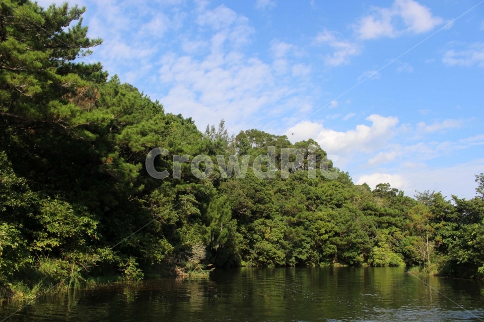 하늘,구름,자연,숲,산림,식물원,산림욕,야외,나들이,나무,sky,tree,cloud,산,자연,풍경,nature,landscape,outdoors,옥외,land,땅,vegetation,초목,plant,식물,rainforest,열대 우림,water,물,shoreline,해안선,ocean,대양,sea,바다