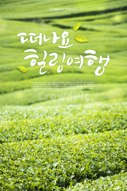녹차,녹차밭,여름,감성,캘리,캘리그라피,손글씨,붓글씨,힐링,표지,브로슈어,전단지,카달로그,자연,풍경,nature,landscape,캘리그라피,손글씨,calligraphy