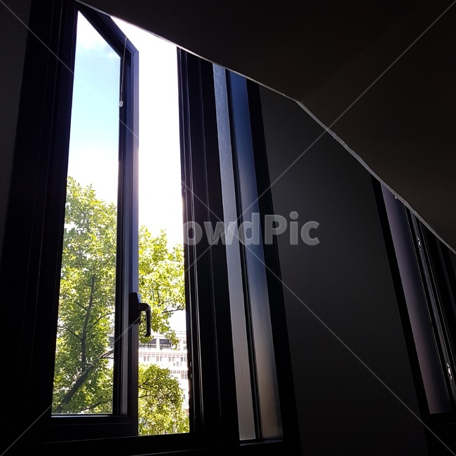 창문,햇살,나무,하늘,여름,자연,풍경,nature,landscape,home decor,가정 장식,window