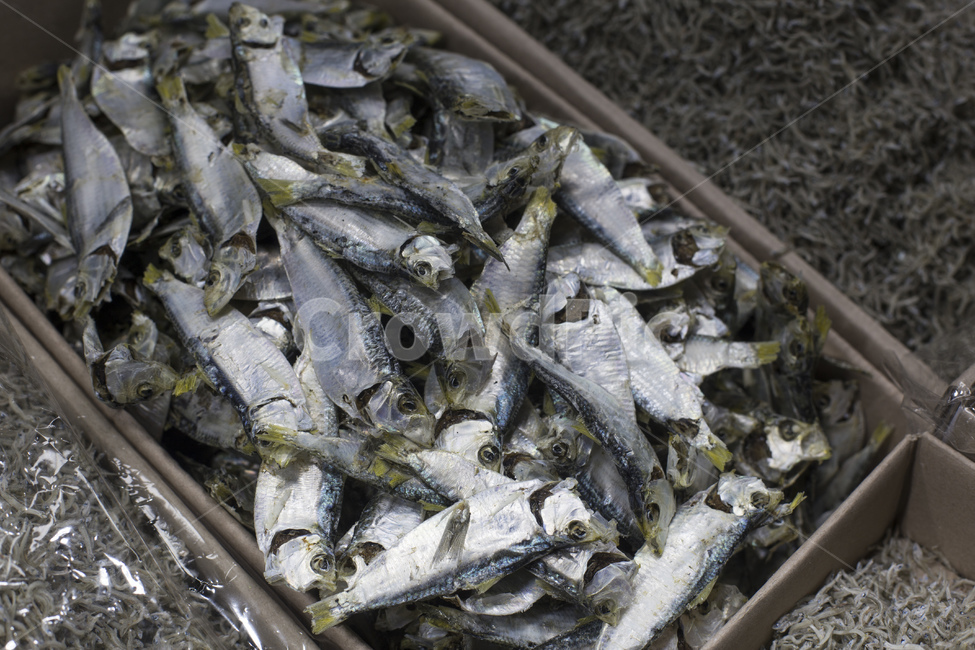 멸치,마른멸치,건멸치,건조,식품,건조식품,가공,칼슘,반찬,밑반찬,재료,생선,수산물,해산물,건어물,잔멸치,식재료,시장,멸치육수,디포리,음식,식재료,요리,food,cook,meal,dishes,food reserves