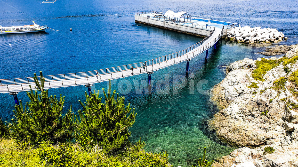 building,건물,bridge,다리,water