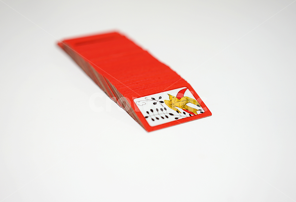 화투,고스톱,카드게임,게임,도박,고도리,하나후다,게임,오락,놀이,game,play