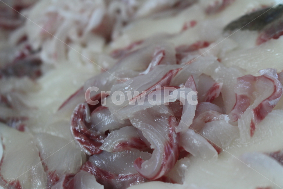 생선,회,일식,활어회,간식,디저트,요리,숭어,활어,고기,음식,식재료,요리,food,cook,meal,dishes,food reserves