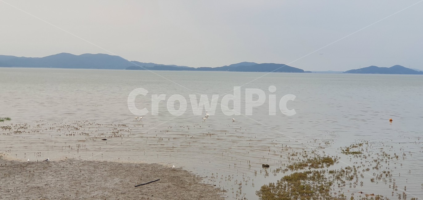 바다,섬,갯벌,자연,하늘,흙,모래사장,해변,뻘,옥외,물,sea,ocean,water,nature,outdoors,land,shoreline