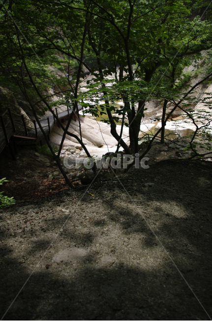 바위,풍경,나무,설악산,계곡,자연,풍경,nature,landscape,tree,plant,식물