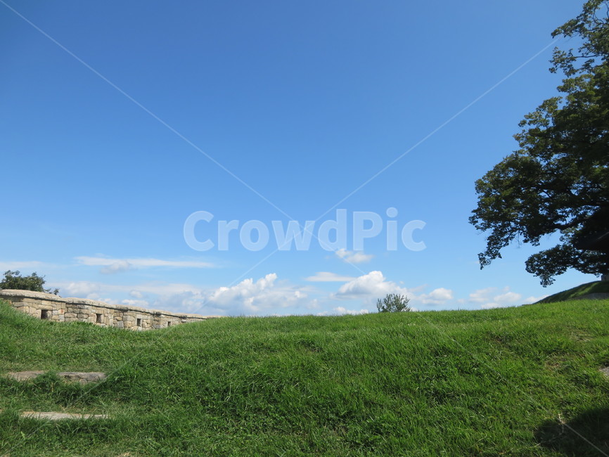 초록초록한들판,하늘,성곽,한국스러움,푸릇푸릇,연미정,field,들,nature,자연,grassland,목초지,outdoors