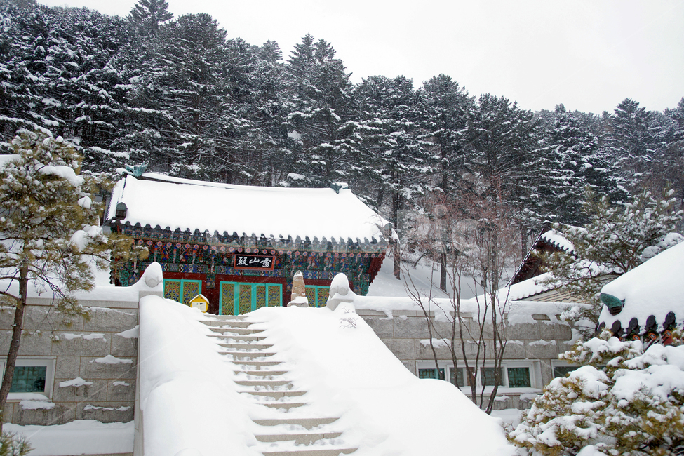상원사,오대산,강원도,사찰,불교사찰,설경,영산전,중대,겨울,계절,winter,season,한국전통,한국문화,korean traditional,korean culture,종교,신앙,religion,belief,faith