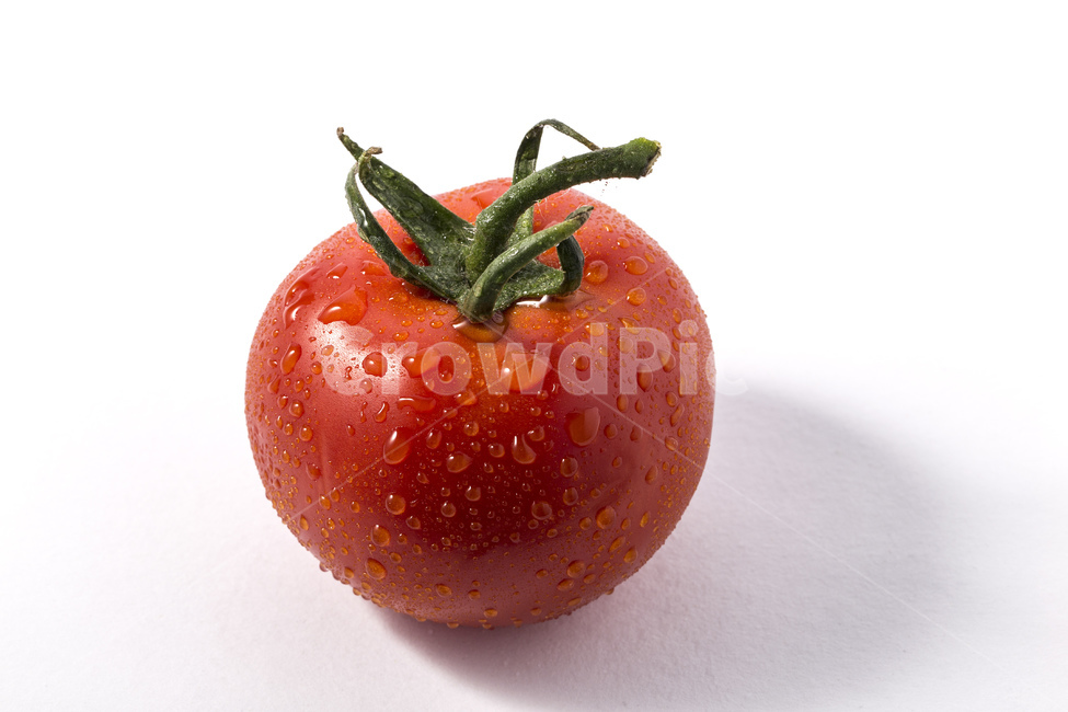 토마토,채소,야채,과일,비타민,유기농,주황색,빨간색,생과일,다이어트,식재료