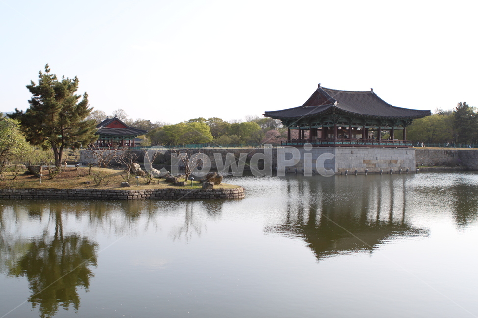 building,건물,architecture,건축물,한국,경주,유적,오래된,연못,물고기,잉어,나무,뜰,정원,하늘,구름,그림자,비치다,거울,맑은,돌,신라,랜드마크,landmark,tourist attraction,한국랜드마크,한국관광지,한국명소,korea landmark,korea tourist attraction