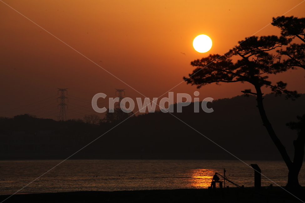 일출장관,바다,해,나무,물경치,자연,풍경,nature,landscape,한국자연풍경,한국자연경관,korea nature landscape,실루엣,그림자,silhouette,shadow,outdoors,옥외,sunset,일몰,dawn,새벽,sky,하늘,red sky,붉은 하늘,dusk,황혼