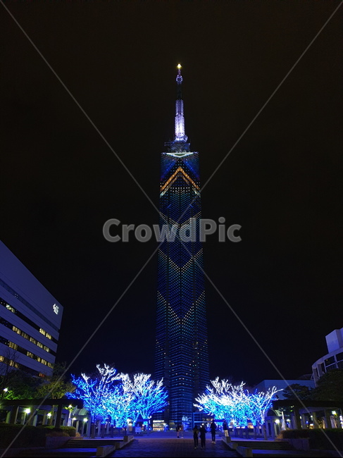 후쿠오타타워,타워,야경,공원,관광지,랜드마크,architecture,건축물,tower,탑,building,건물,spire,첨탑,steeple,뾰족한탑
