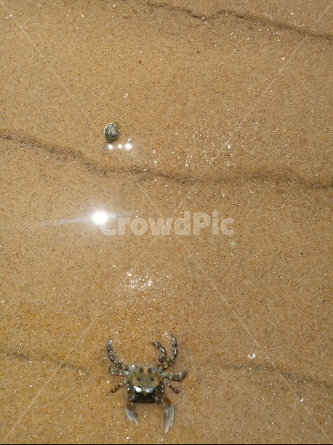 모래사장,백사장,모래톱,바다모래,해변,sand,바닷물
