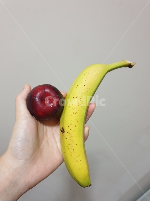 plant,식물,fruit,과일,banana,바나나,food,음식,자두,plum,음식,식재료,요리,food,cook,meal,dishes,food reserves,과일,열매,fruit