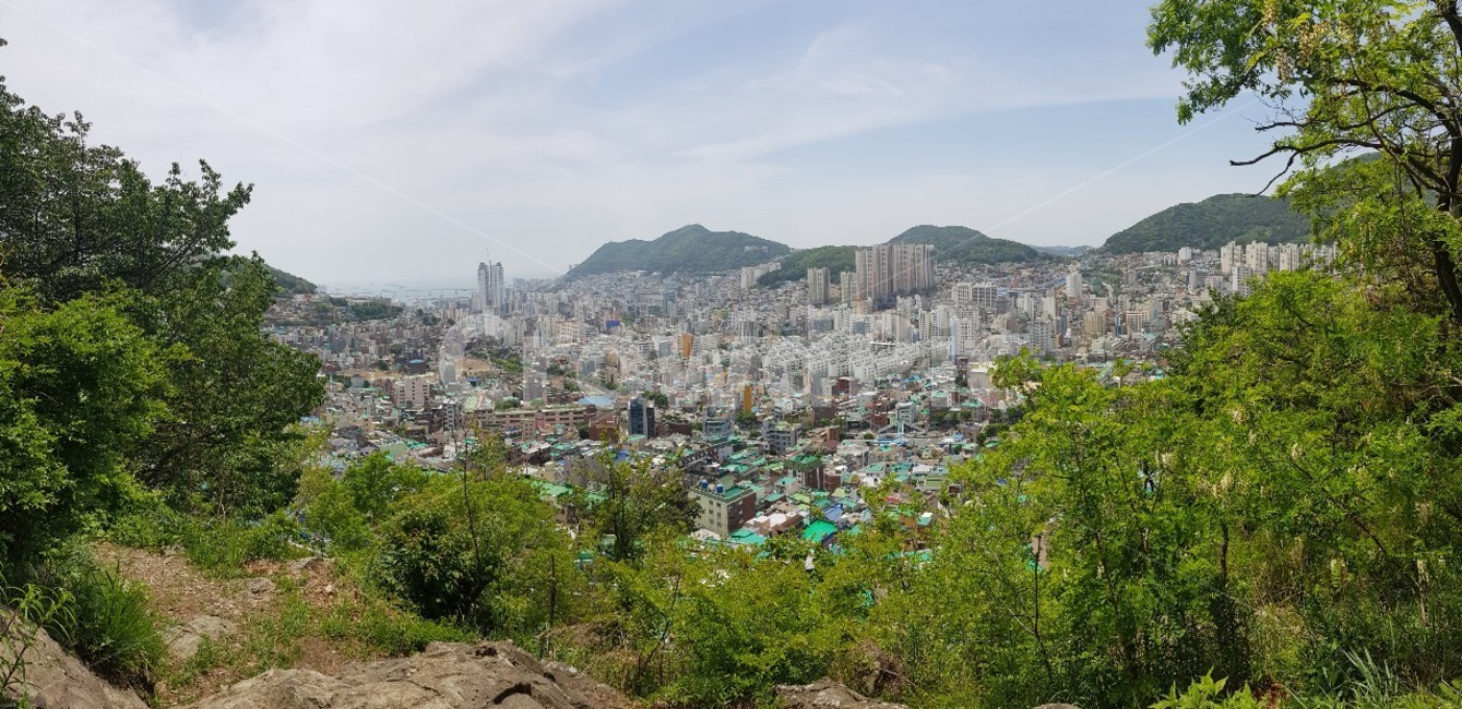 구덕산,부삼,뷰,경치,아침,하늘,자연