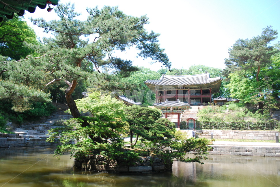 창덕궁,후원,주합루,부용지,어수문,한국전통,한국문화,korean traditional,korean culture,랜드마크,landmark,tourist attraction,한국랜드마크,한국관광지,한국명소,korea landmark,korea tourist attraction