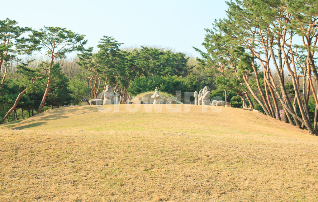 태릉,태강릉,문정왕후,왕릉,사적,문화재,유적,문화유산,홍살문,정자각,풍경,경치,오후,따뜻한,랜드마크,landmark,tourist attraction,한국랜드마크,한국관광지,한국명소,korea landmark,korea tourist attraction