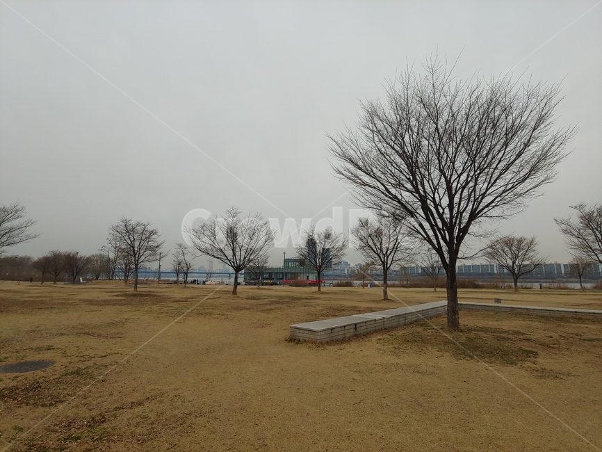 한강,한강공원,새빛섬,반포공원,서래나루,겨울,나목,tree,nature,자연,outdoors,옥외