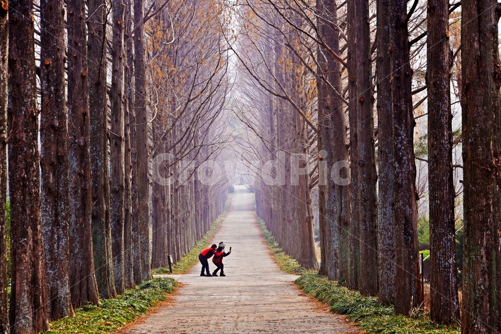 전남,나주,수목원,산림자원연구소,메타길,메타길아침,봄,계절,자연,경치,경관,풍경,사람,인간,친구,포즈,자연,풍경,nature,landscape,나무,trees,wood