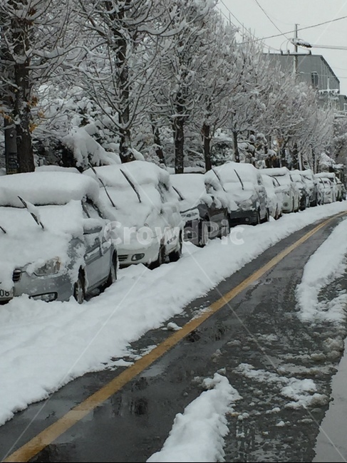 겨울,눈,차,추위,날씨,겨울풍경,나무,겨울,계절,winter,season,자연,풍경,nature,landscape,outdoors,옥외,storm,폭풍,snow,blizzard,눈보라