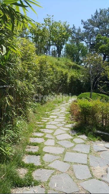 산책로,돌길,나무,풀,여름,bamboo,자연,풍경,nature,landscape,flagstone,판석